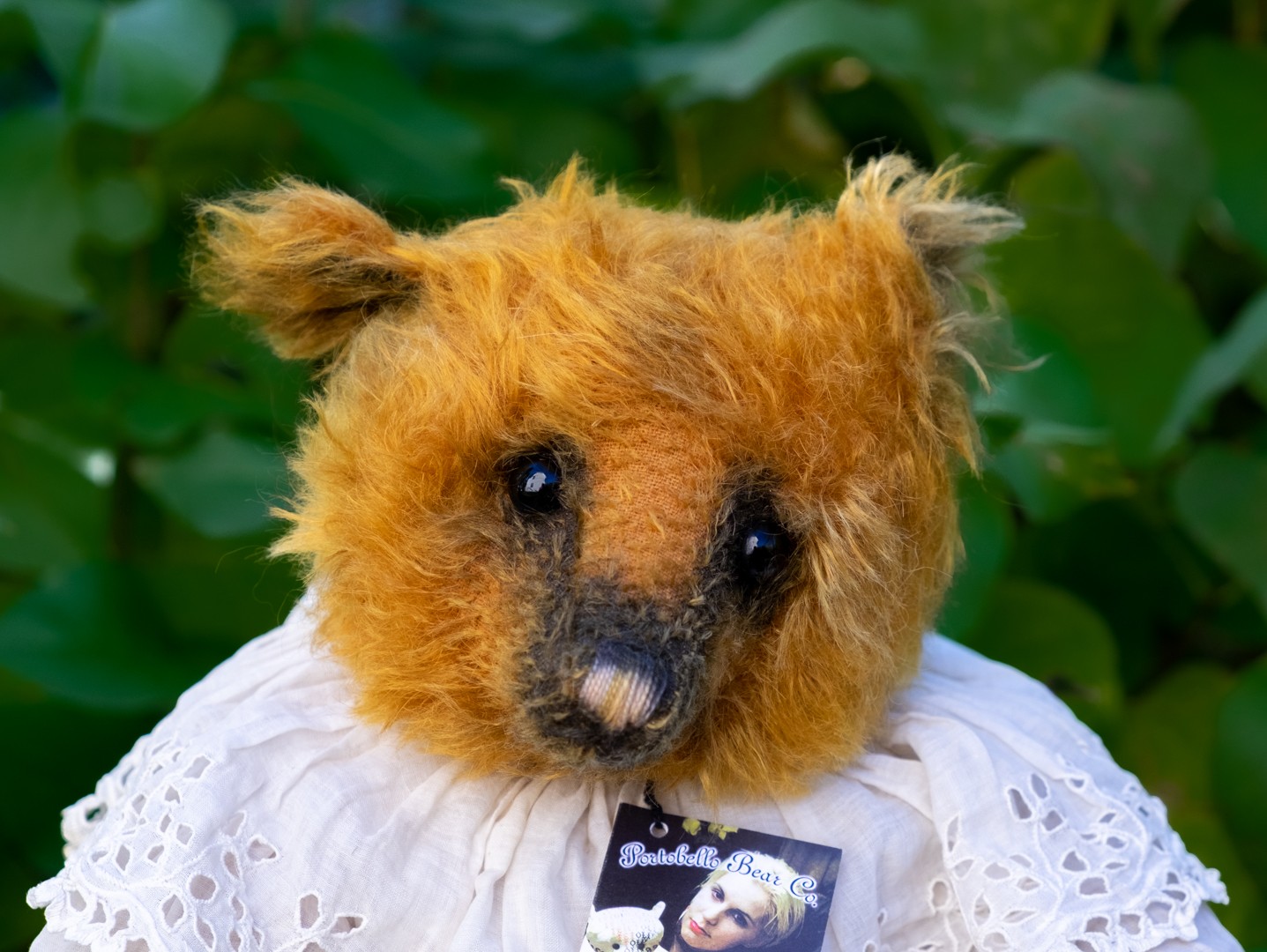 Under A Paris Moon – Portobello Bear Company – Ltd ed #1 of 1 – Year 2006 Under A Paris Moon – Portobello Bear Company – Ltd ed #1 of 1 – Year 2006 - Image 7