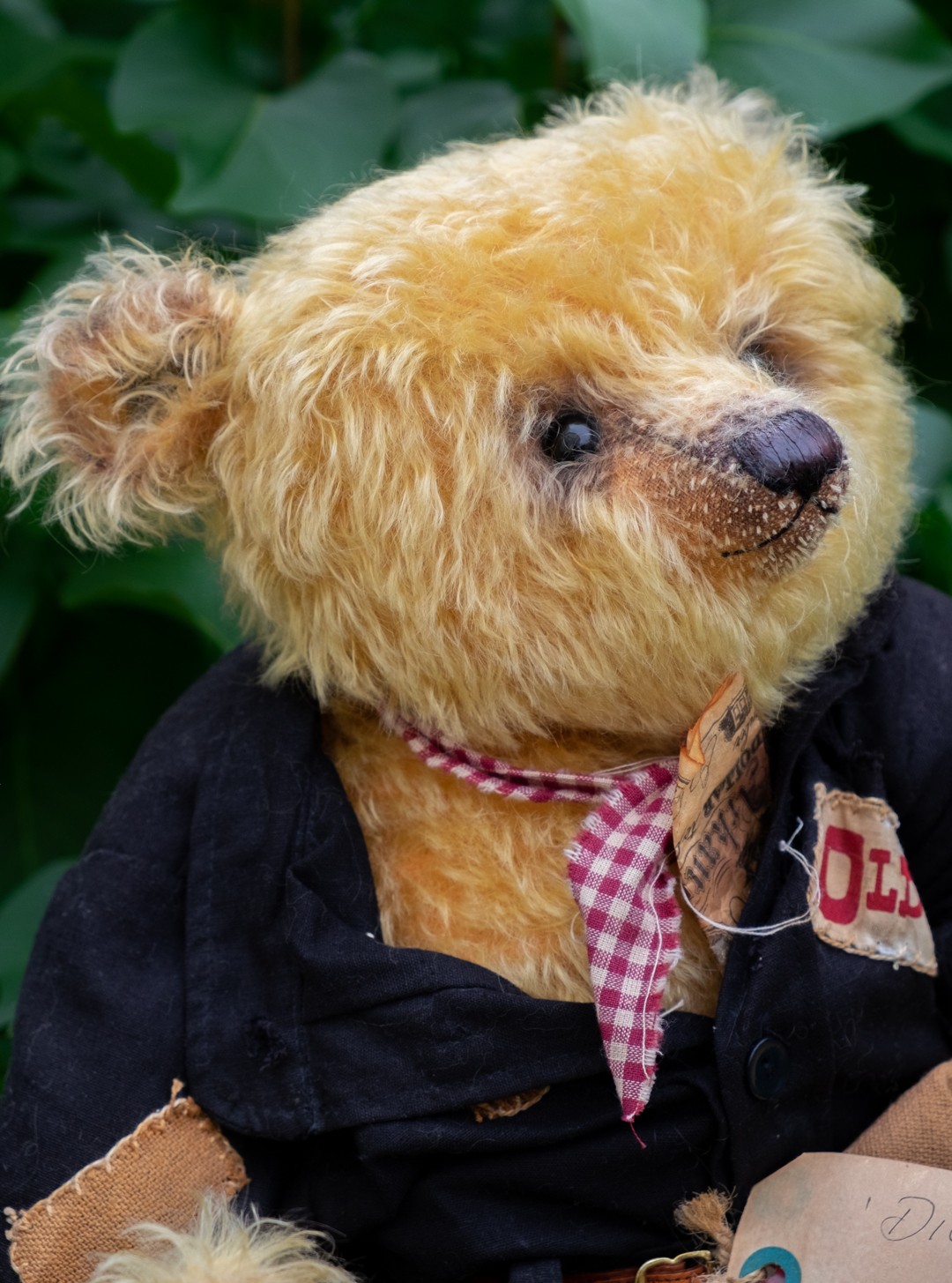Dickens - by Lisa Rosenbaum for Oz Matilda Bear Co - Year 2005 - OOAK Dickens - by Lisa Rosenbaum for Oz Matilda Bear Co - Year 2005 - OOAK - Image 15